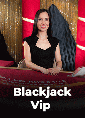 Blackjack VIP 13